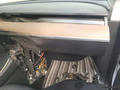 2020 Tesla Model 3 5YJ3E1EA5LF756516 VIN:5YJ3E1EA5LF756516