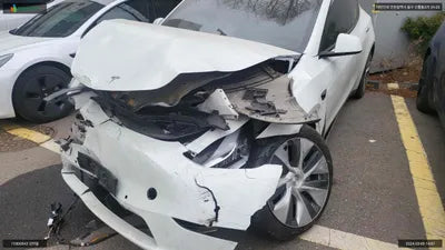 2022 Tesla Model Y 7SAYGDEE5NF568217 VIN:7SAYGDEE5NF568217