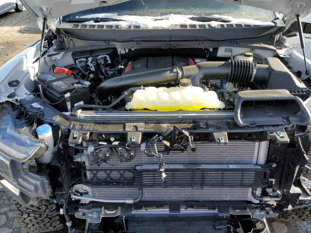 2024 FORD F150 RAPTOR VIN:1FTFW1RG8RFB75914