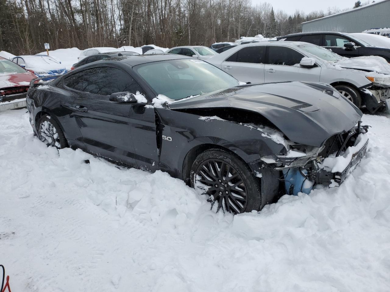 2023 FORD MUSTANG GT VIN:1FA6P8CF4P5303404