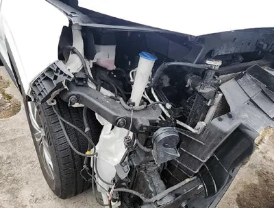 2019 Hyundai Santa FE KMHS281BBKU006337 VIN:KMHS281BBKU006337