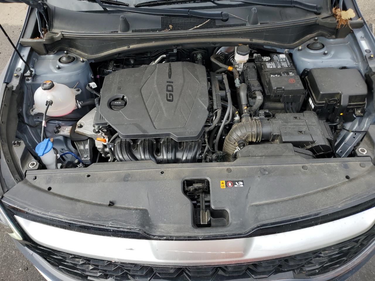 2024 KIA SPORTAGE EX VIN:5XYK33DF9RG185981