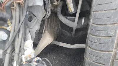 2018 Mercedes-Benz CLS 400 NONE VIN: