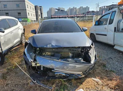 2020 Hyundai Ioniq KMHC851CGLU209203 VIN:KMHC851CGLU209203