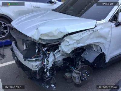 2021 Hyundai Santa FE KMHS381LGMU382815 VIN:KMHS381LGMU382815