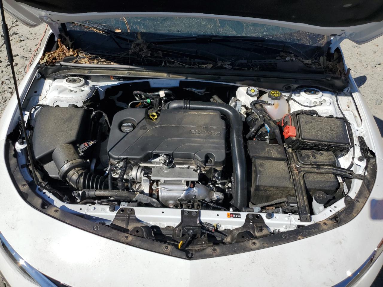 2024 CHEVROLET MALIBU LS VIN:1G1ZC5ST6RF147297