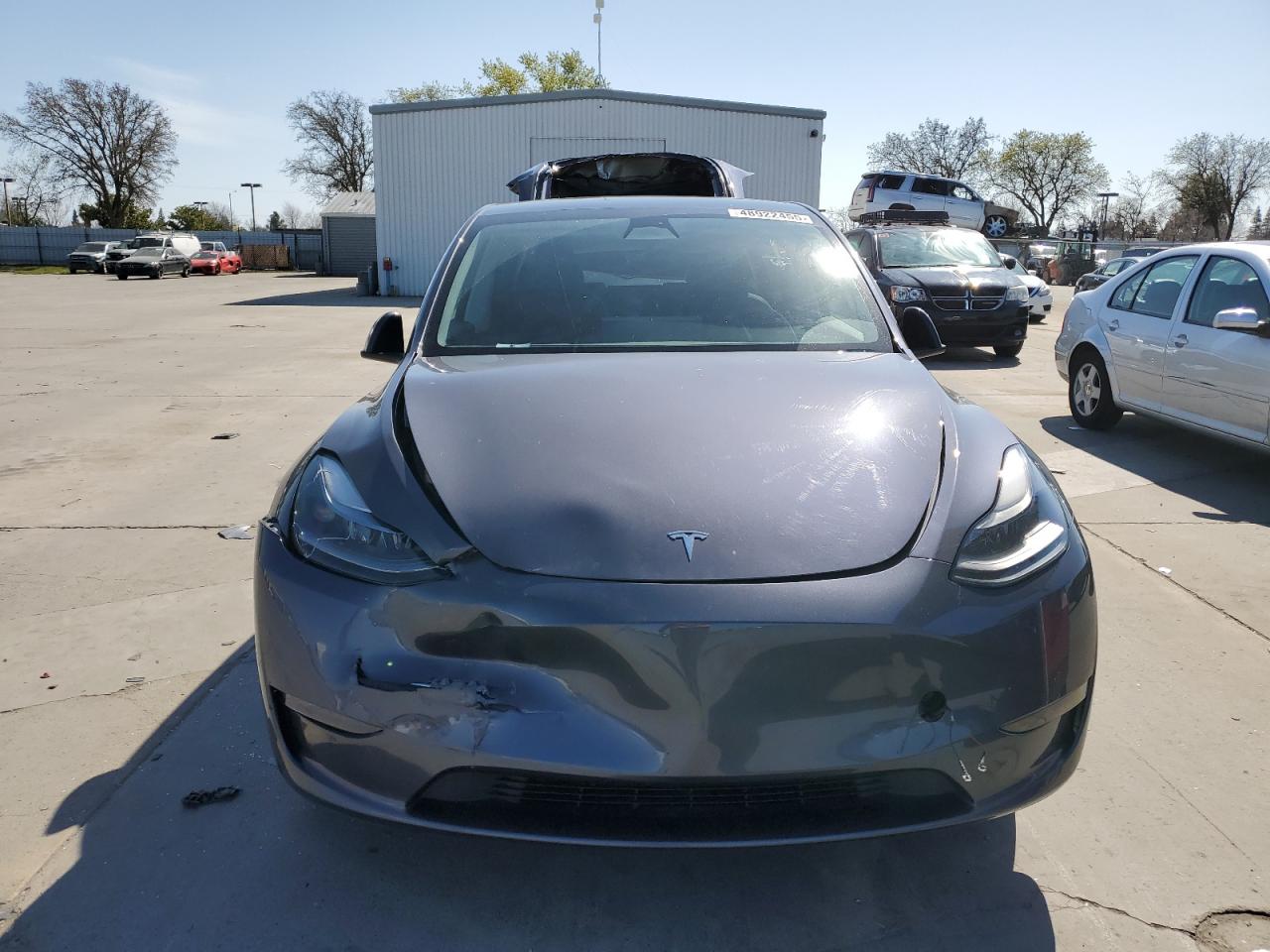 2023 TESLA MODEL Y  VIN:7SAYGAEE9PF627707