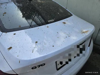 2018 Genesis G70 VIN: