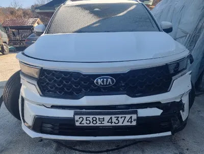 2021 Kia Sorento KNARL81BGMA022582 VIN:KNARL81BGMA022582