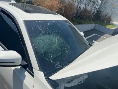 2019 BMW 330 WBA5R3103KAE82391 VIN:WBA5R3103KAE82391