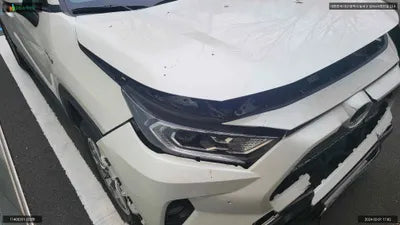 2020 Toyota RAV4 JTMDWRFV7LD545648 VIN:JTMDWRFV7LD545648