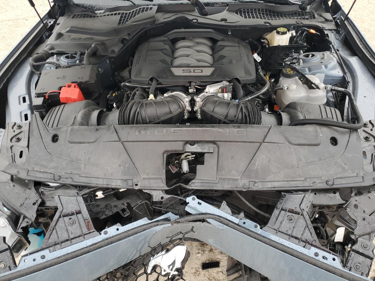 2024 FORD MUSTANG GT VIN:1FA6P8CF6R5426978