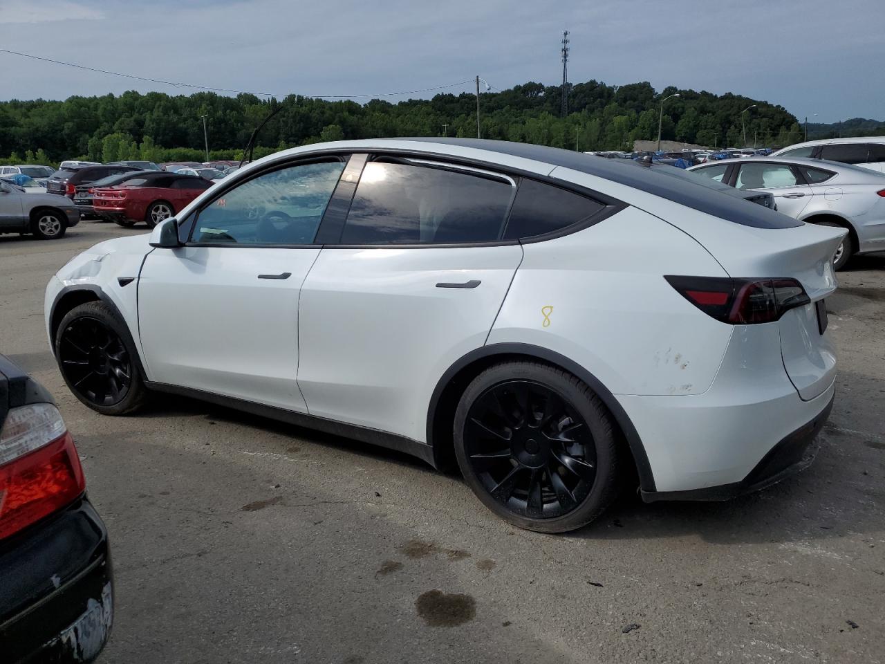 2023 TESLA MODEL Y  VIN:7SAYGDEE4PF813141