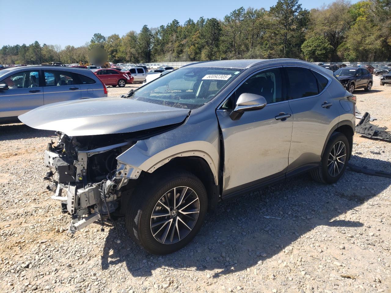 2024 LEXUS NX 250 BASE VIN:2T2ADCAZ3RC008065