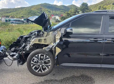 2022 Kia Carnival KNANB81BBNS131772 VIN:KNANB81BBNS131772