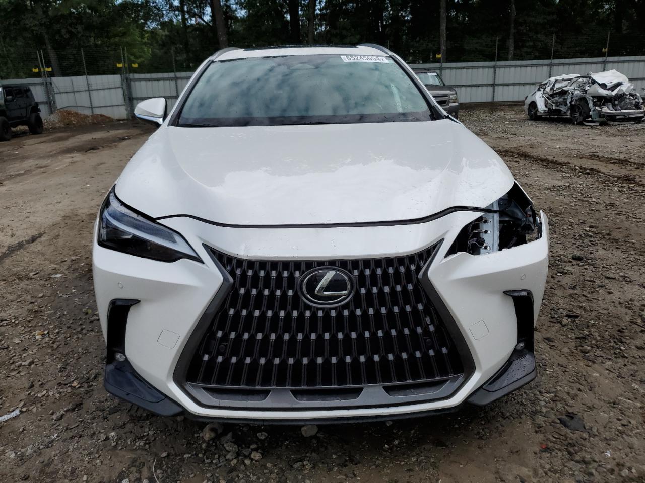 2024 LEXUS NX 250 PREMIUM VIN:2T2GDCAZ3RC011025