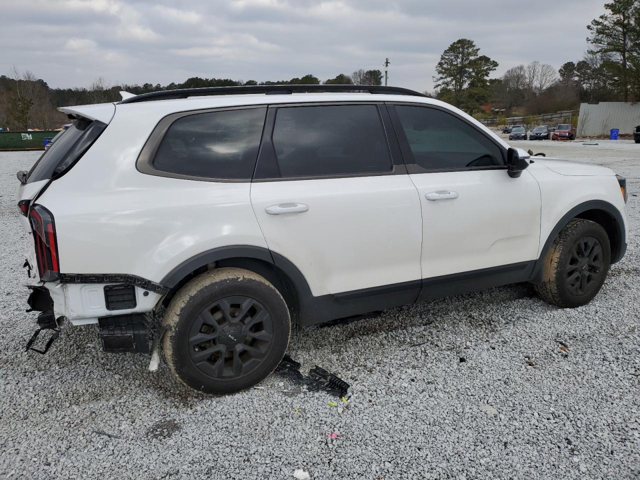 2024 KIA TELLURIDE SX VIN:5XYP5DGC7RG420949
