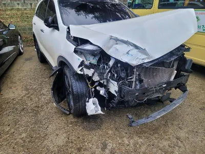 2018 Kia Sorento KNAPH81BBJA425318 VIN:KNAPH81BBJA425318