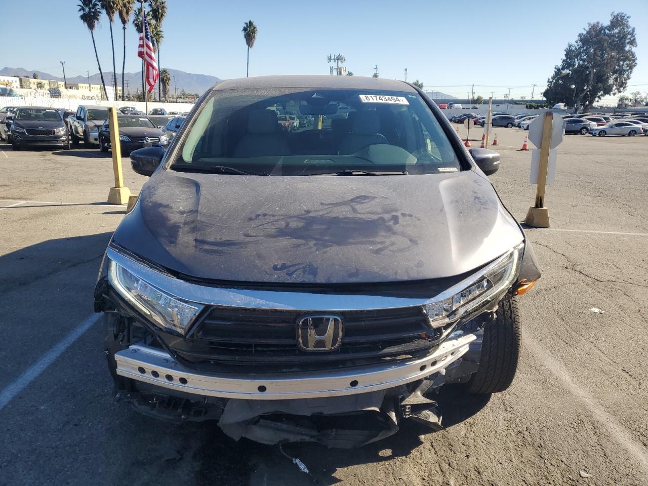 2024 HONDA ODYSSEY EXL VIN:5FNRL6H66RB044254