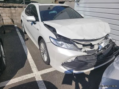 2019 Toyota Camry JTNB21HK5K3022667 VIN:JTNB21HK5K3022667
