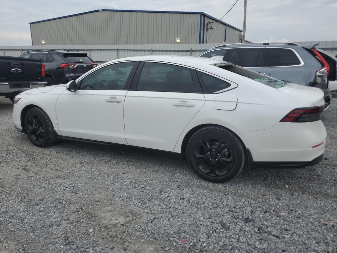 2023 HONDA ACCORD LX VIN:1HGCY1F28PA009202