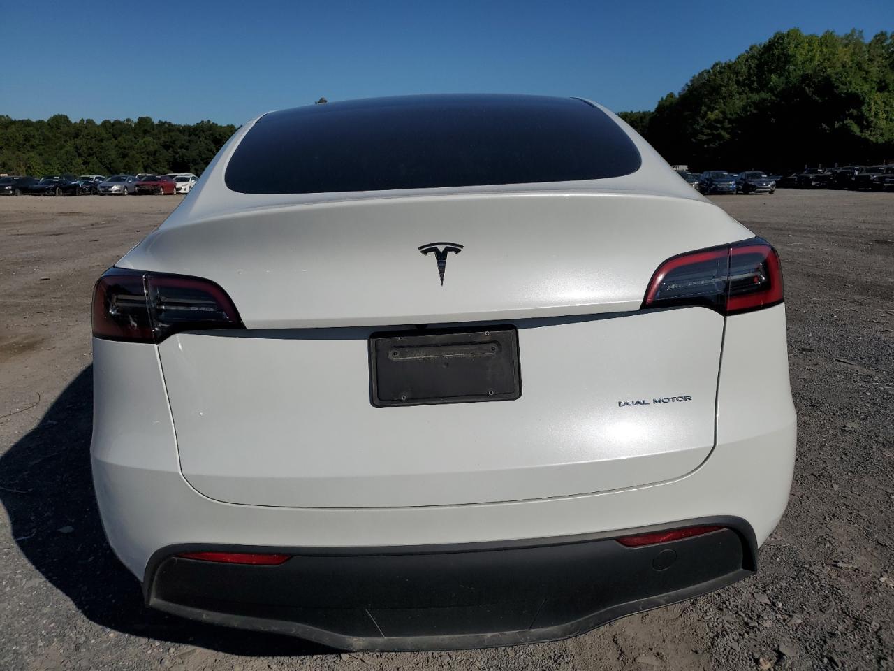 2023 TESLA MODEL Y  VIN:7SAYGDEEXPA105845