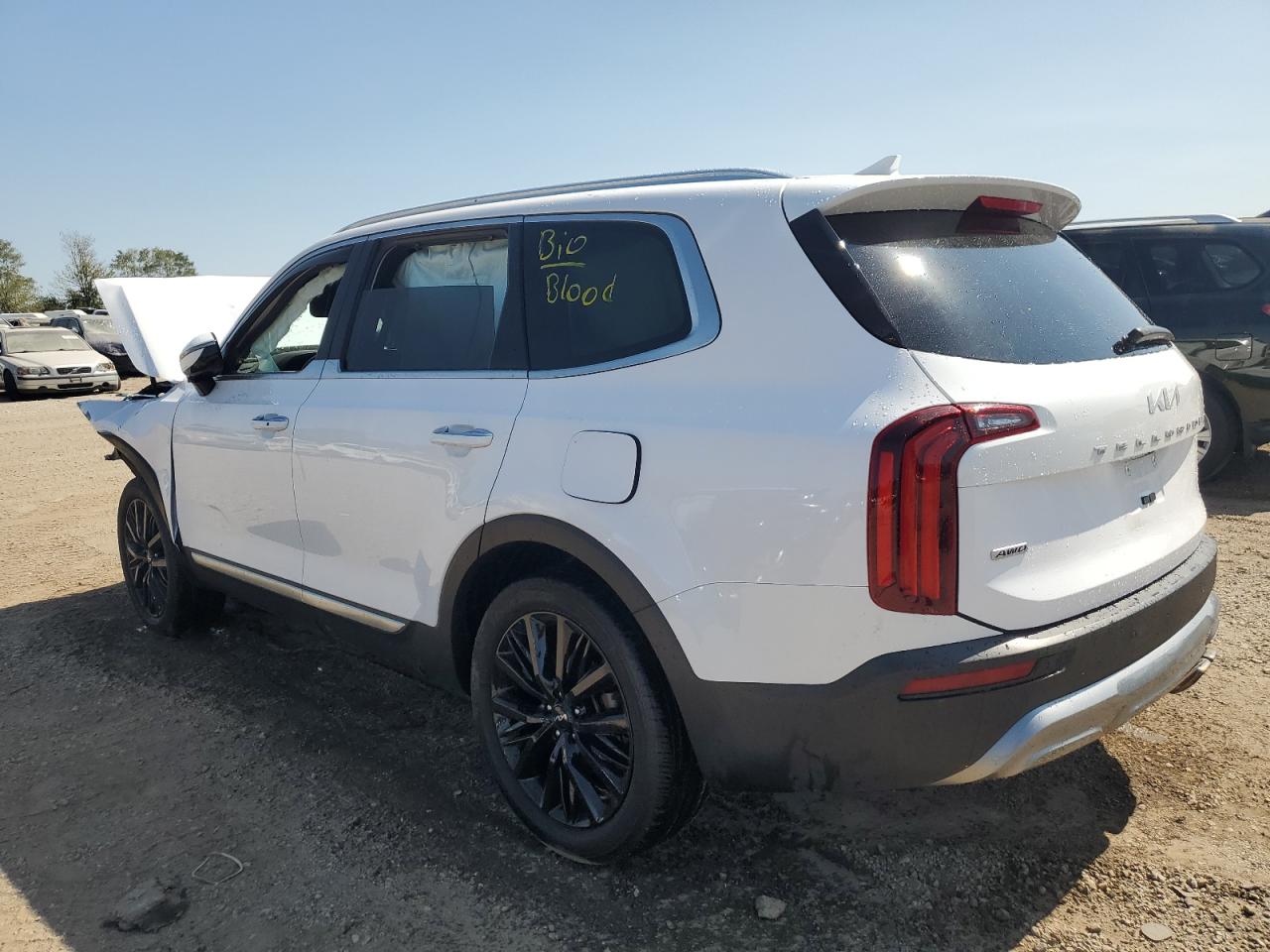 2022 KIA TELLURIDE SX VIN:5XYP5DHCXNG267329