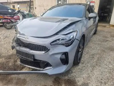 2021 Kia Stinger KNAE351DDMS093636 VIN:KNAE351DDMS093636