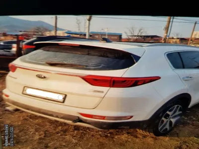 2016 Kia Sportage 423KMKNAPR813BGK0 VIN:423KMKNAPR813BGK0