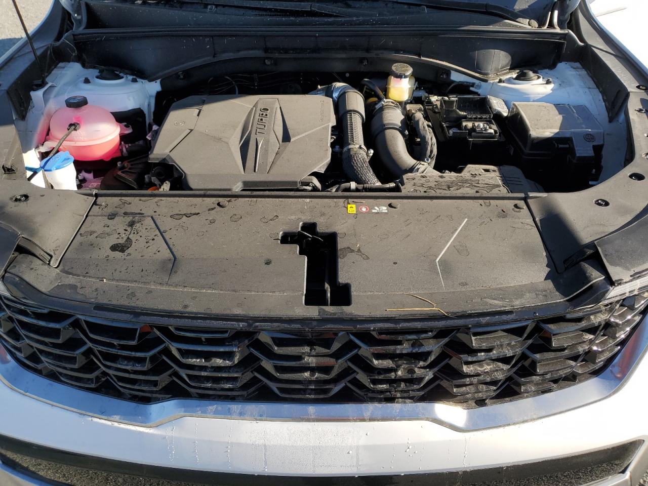 2024 KIA SORENTO EX VIN:5XYRH4JF3RG308331