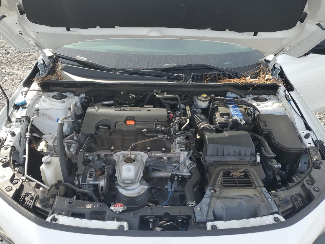 2023 HONDA CIVIC SPORT VIN:19XFL2H84PE009129