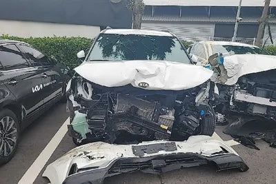 2021 Kia Carnival KNANE81BBMS117645 VIN:KNANE81BBMS117645