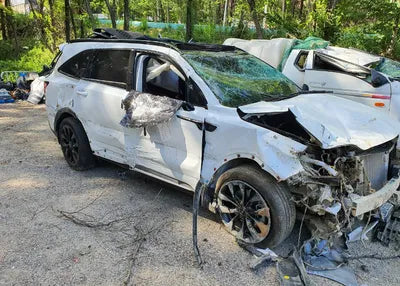 2022 Kia Sorento KNARM81FHNA155884 VIN:KNARM81FHNA155884