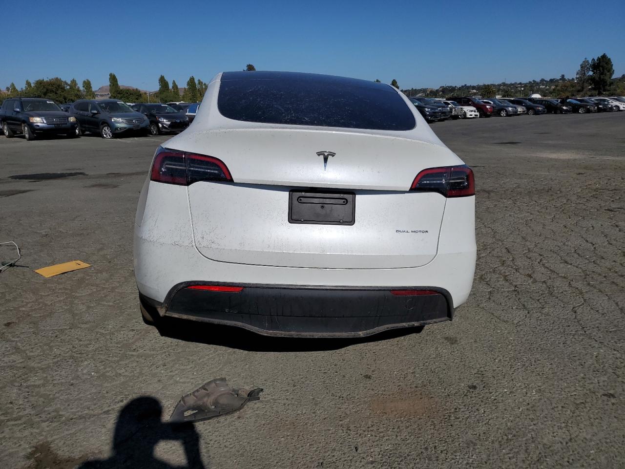 2024 TESLA MODEL Y  VIN:7SAYGDEE0RF982107