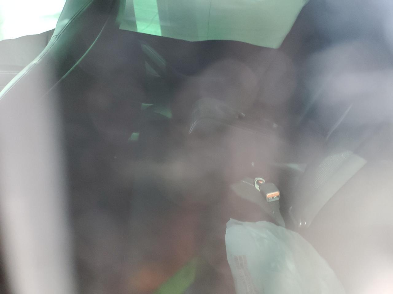 2022 TESLA MODEL 3  VIN:5YJ3E1EB5NF253600