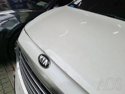 2017 Kia Carnival KNAME81ABHS328620 VIN:KNAME81ABHS328620