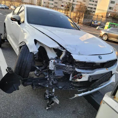 2021 Kia Stinger KNAE351DDMS099818 VIN:KNAE351DDMS099818