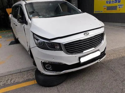 2016 Kia Carnival KNAMB81ABGS161928 VIN:KNAMB81ABGS161928
