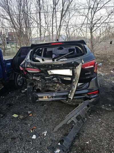 2017 Hyundai Santa FE KMHSW81UBJU827590 VIN:KMHSW81UBJU827590