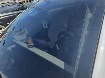 2022 Tesla Model 3 VIN: