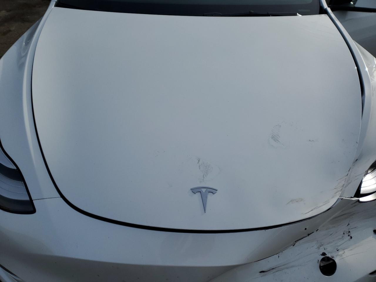 2022 TESLA MODEL Y  VIN:7SAYGDEE7NF312709