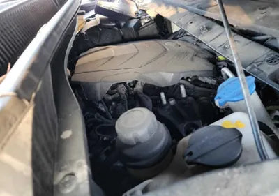 2019 Kia Carnival KNAME811BKS457507 VIN:KNAME811BKS457507