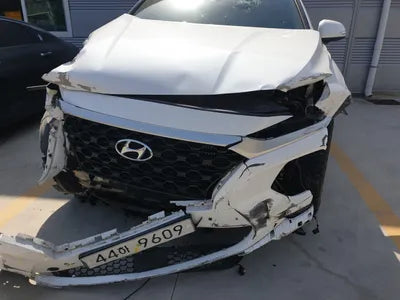 2019 Hyundai Santa FE KMHS281BBKU074285 VIN:KMHS281BBKU074285