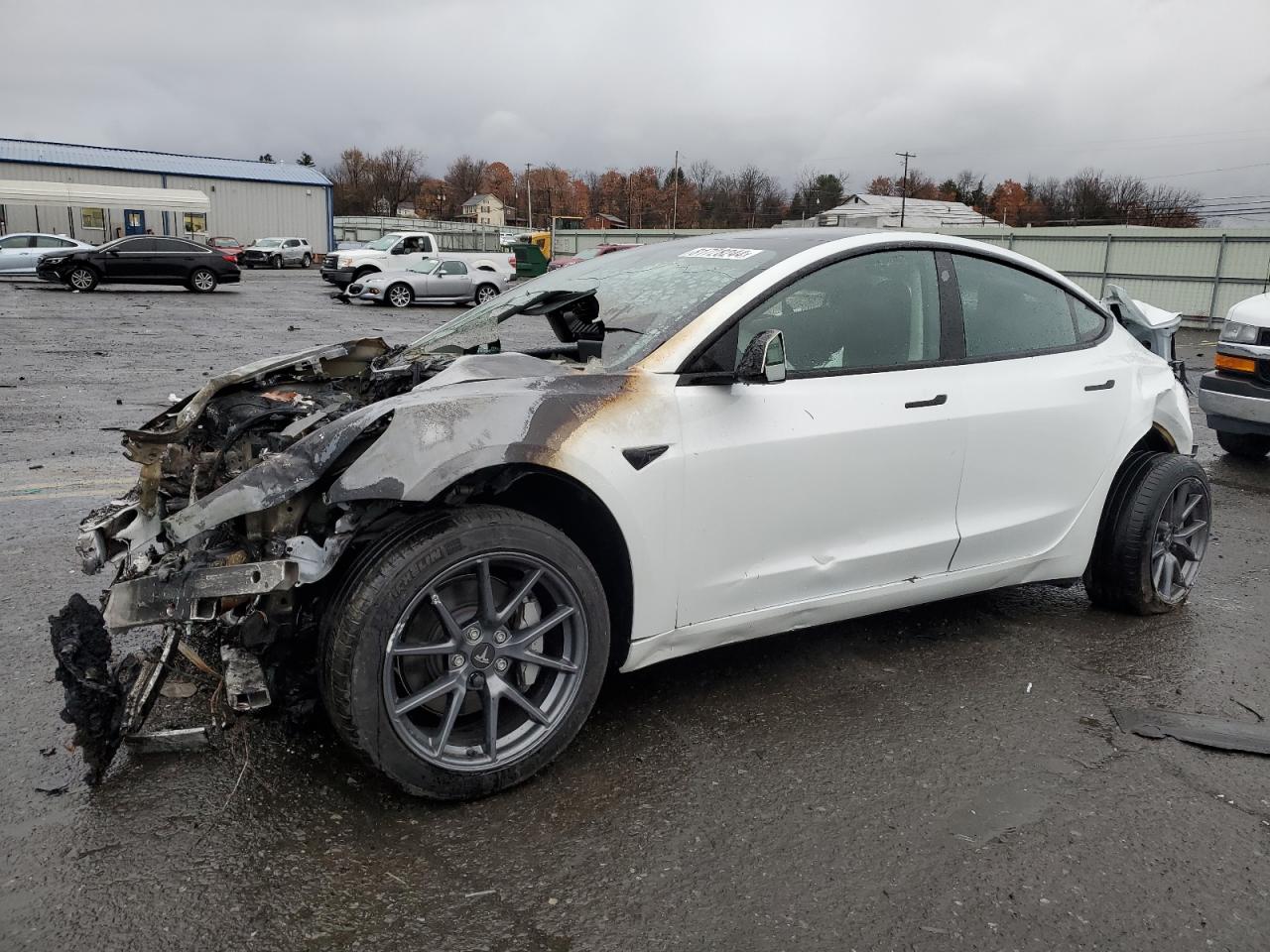 2023 TESLA MODEL 3  VIN:5YJ3E1EA0PF513119