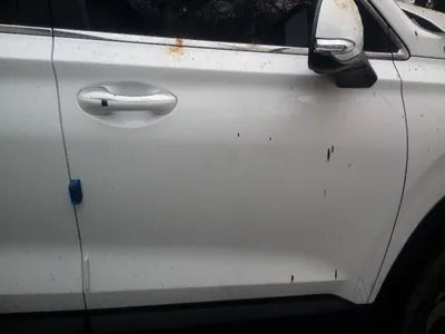 2021 Hyundai Santa FE KMHS381HGMU336284 VIN:KMHS381HGMU336284