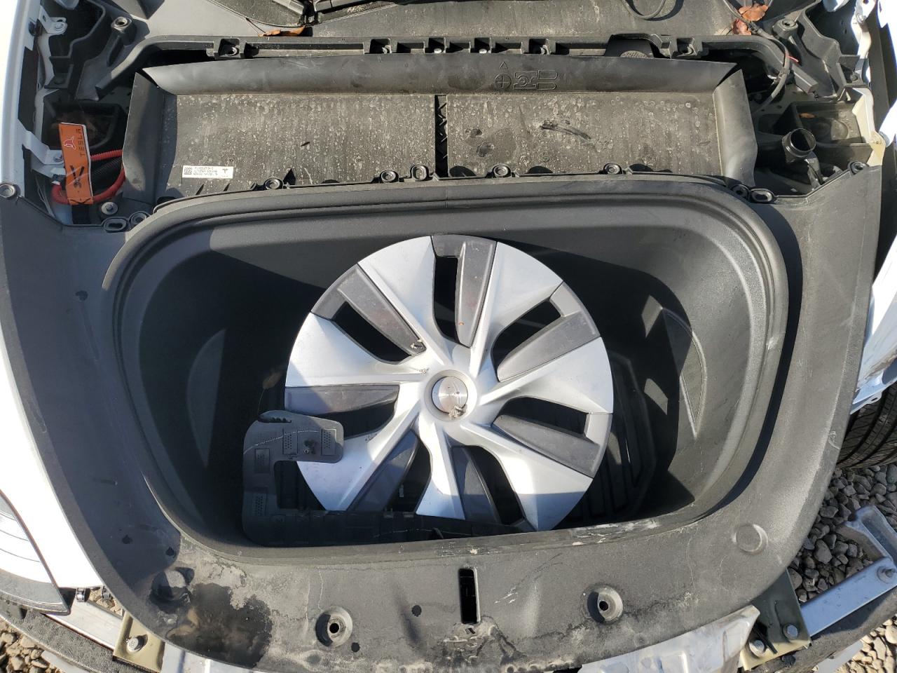 2024 TESLA MODEL Y  VIN:7SAYGDEE8RF089117