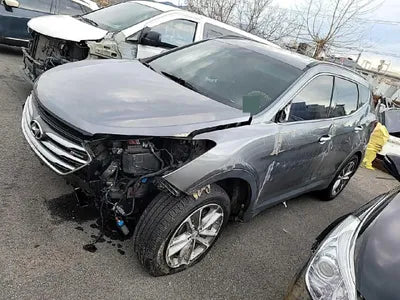 2016 Hyundai Santa FE KMHSW81UBHU737220 VIN:KMHSW81UBHU737220