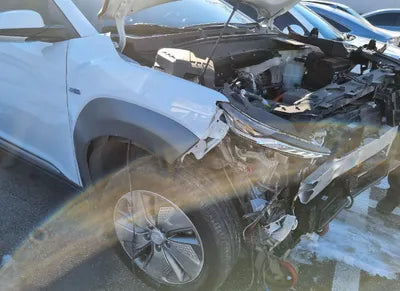 2019 Hyundai Kona KMHK381GFKU056455 VIN:KMHK381GFKU056455