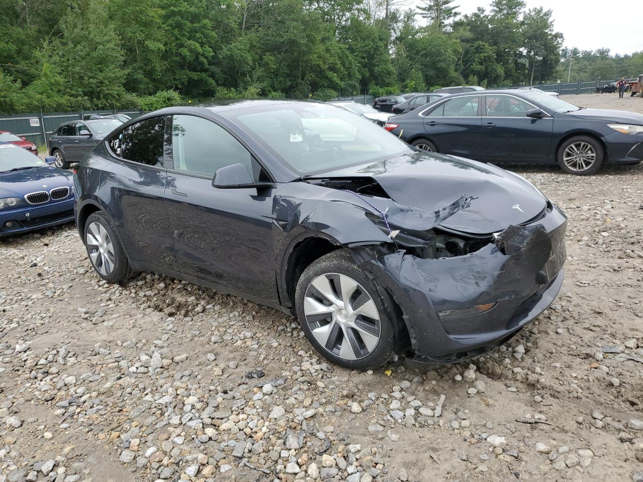 2024 TESLA MODEL Y  VIN:7SAYGDEE7RA241272