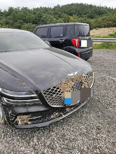 2020 Genesis G80 VIN: